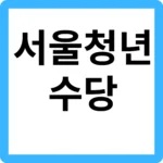 서울 청년수당